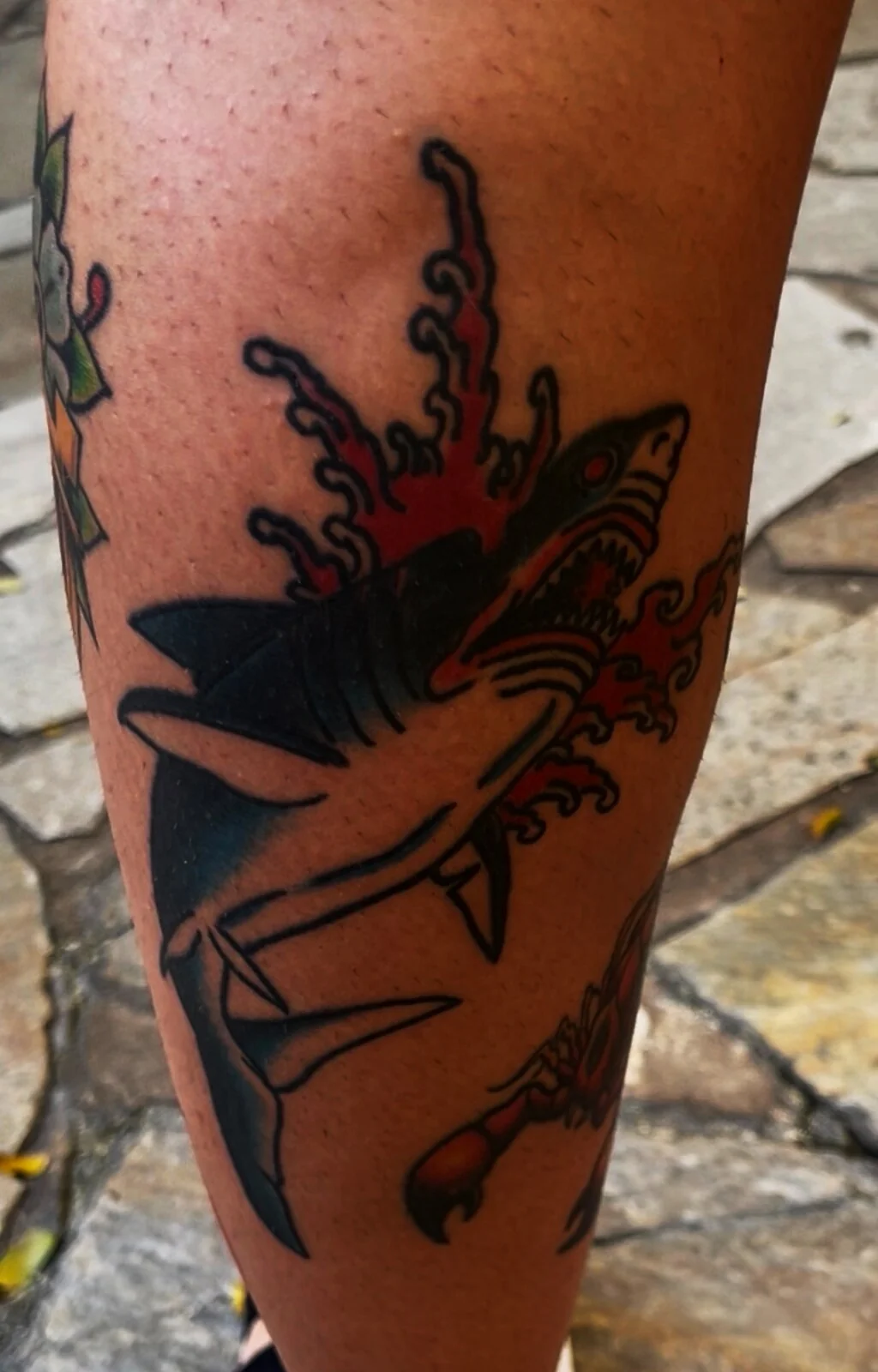 American Traditional color shark with fire and water tattoo on calf by Tim Goodrich, Waikiki, Hawaii