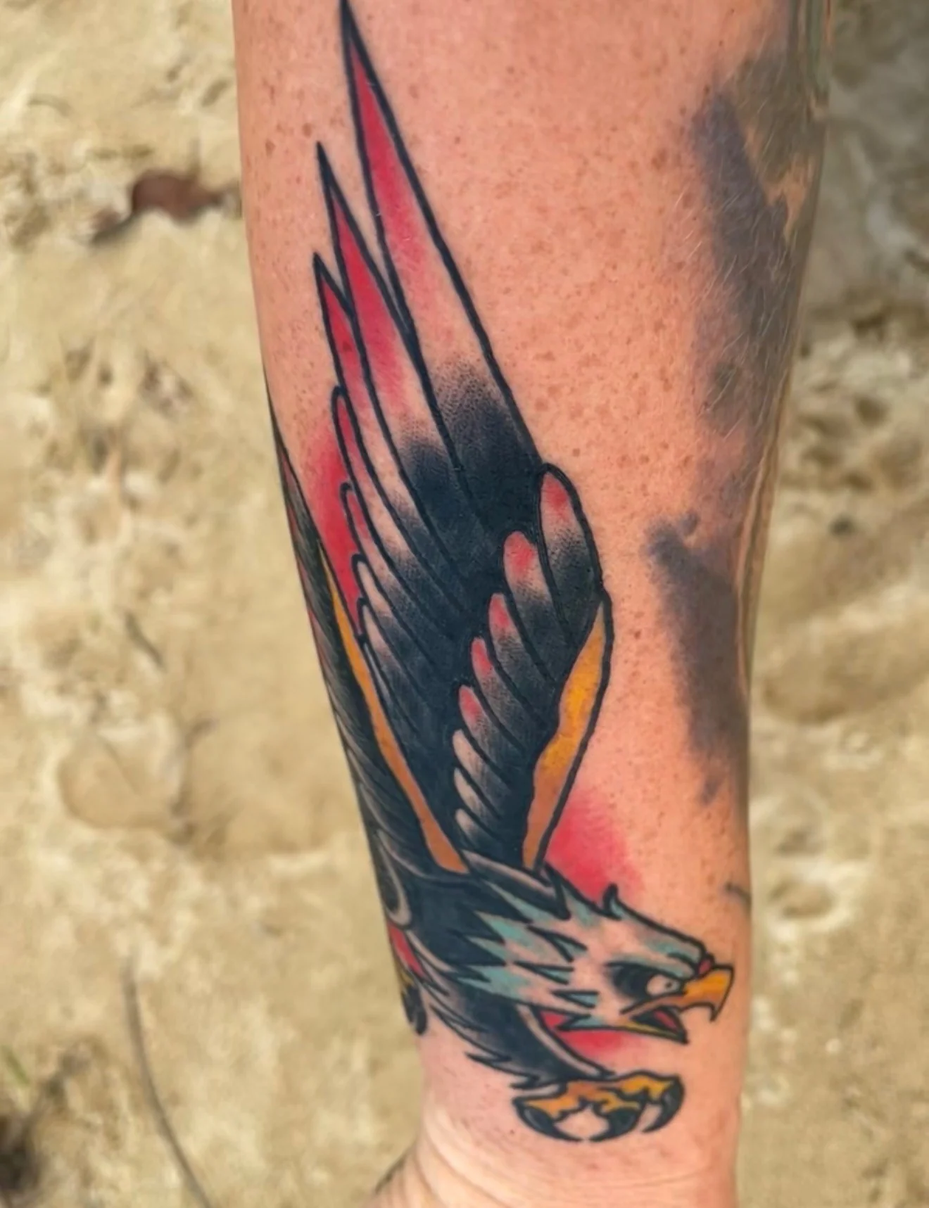 American Traditional color tattoo of an eagle banking in flight against a red sky wash on the forearm, by Tim Goodrich at his Waikiki tattoo shop, Hawaii.